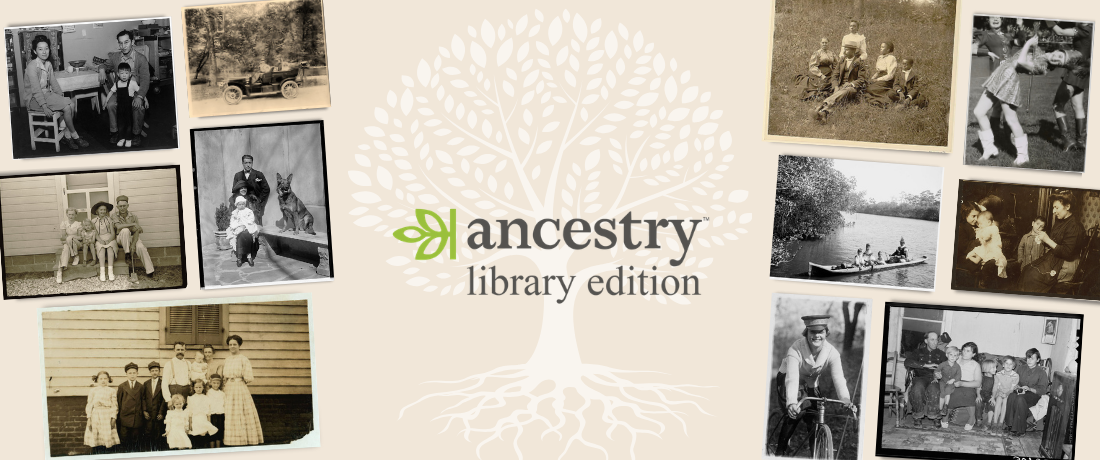 Ancestry Banner Image