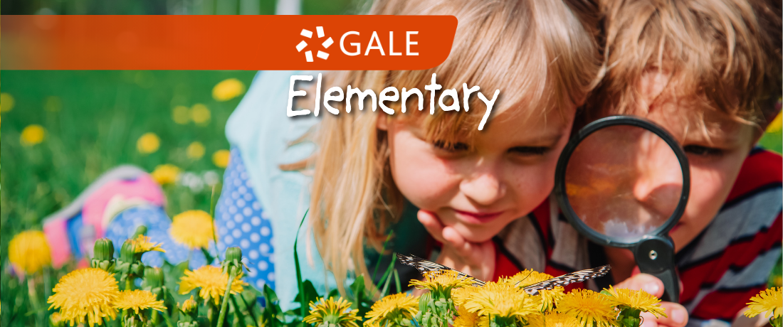 Gale Elementary