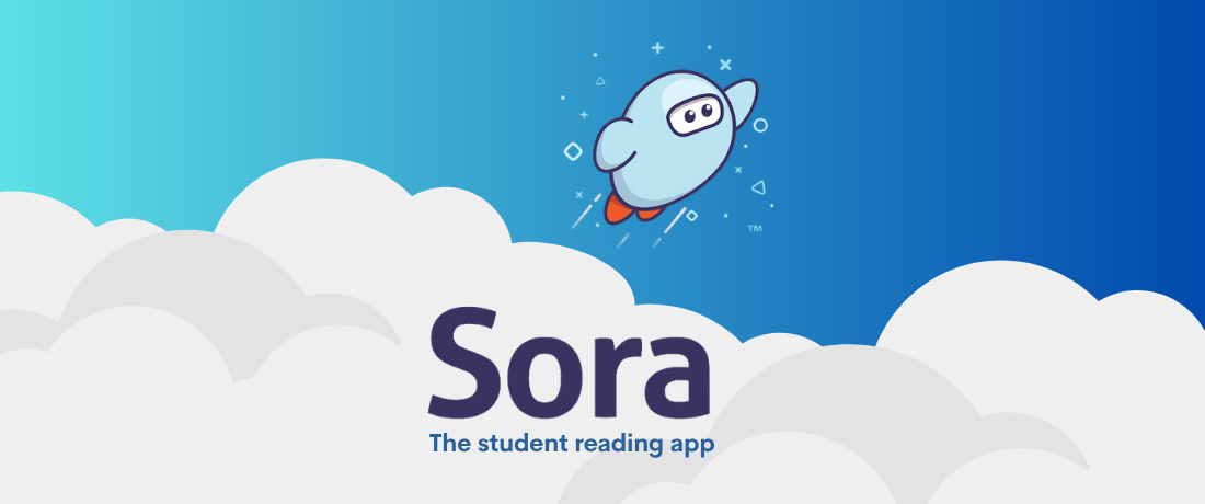 Sora Banner Image